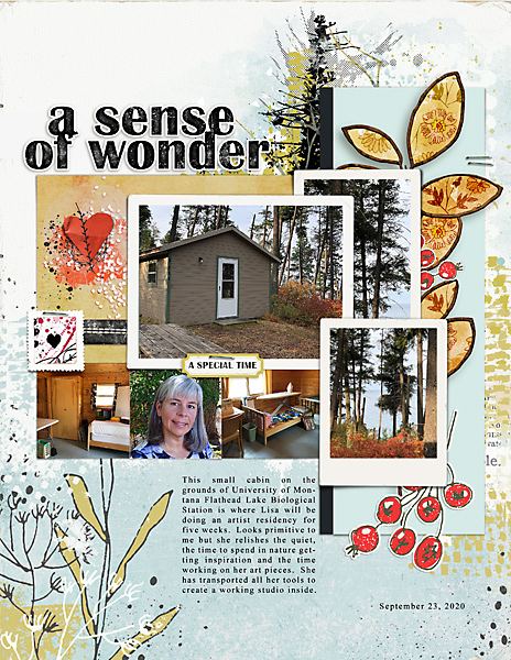 A-Sense-of-Wonder_flowersgal_web