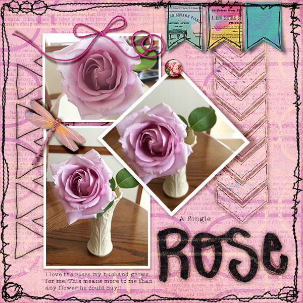 A Single Rose