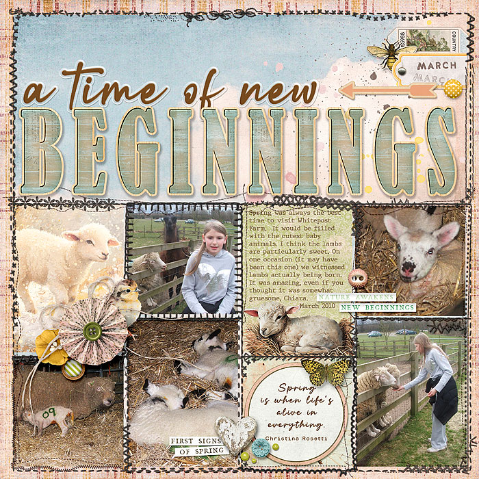 A Time Of New Beginnnings
