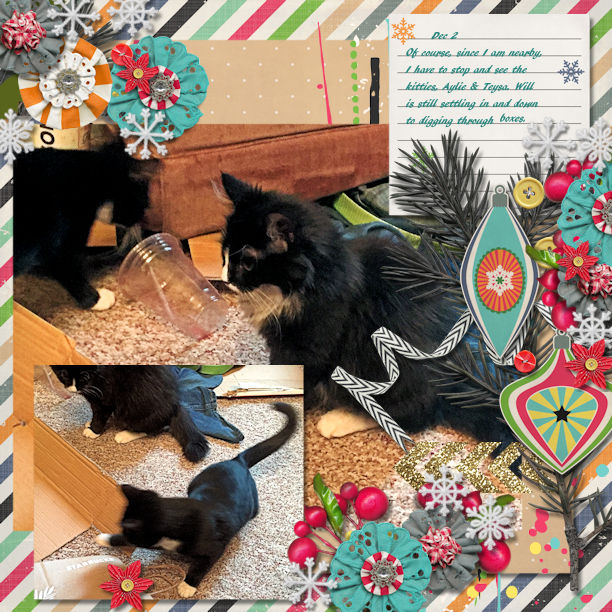 A visit to the  Kitties