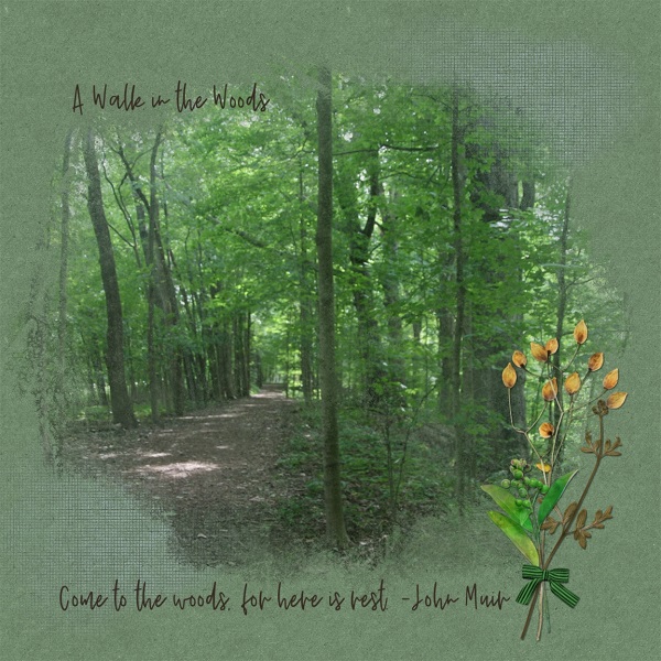 A Walk In The Woods