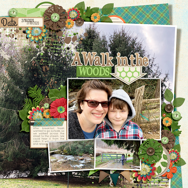A Walk in the Woods