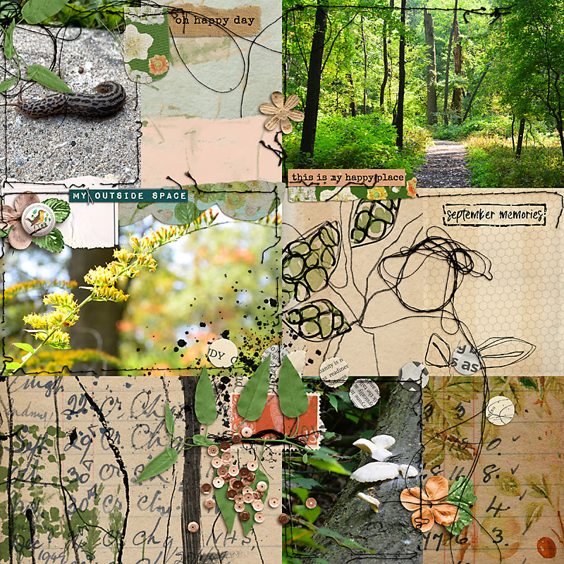 A Walk in the Woods