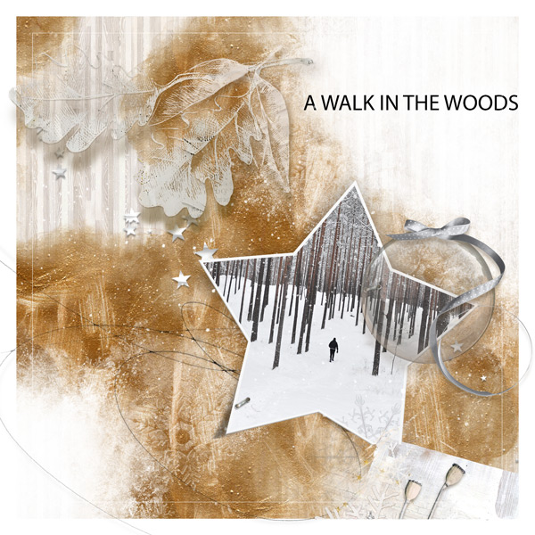 A Walk in the Woods