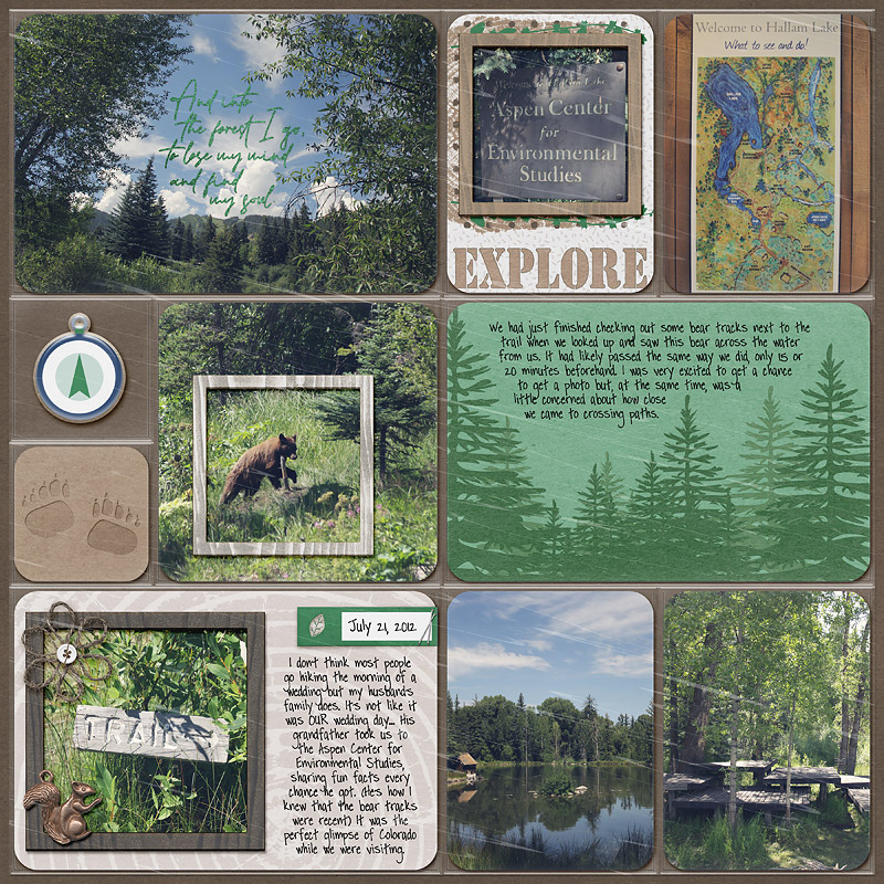 a walk in the woods