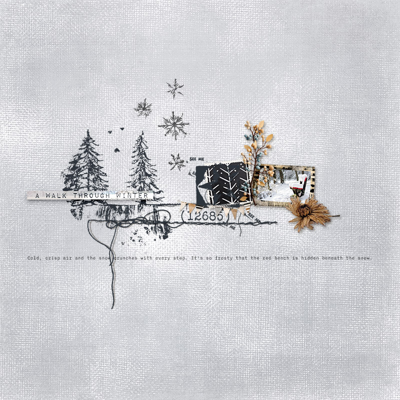 a walk through winter