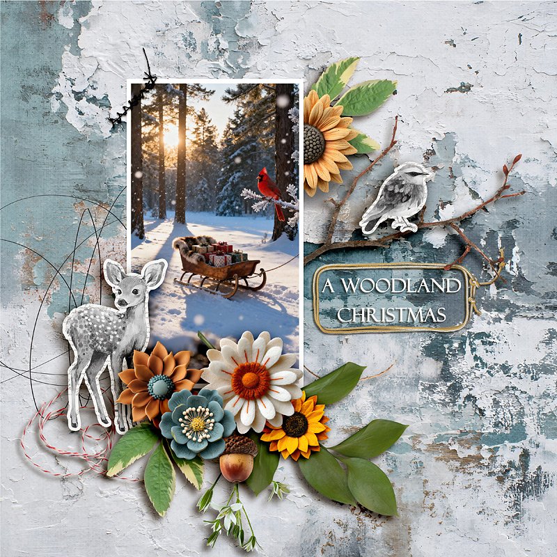 A Woodland Christmas