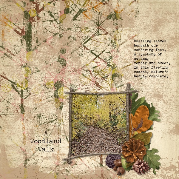 A Woodland Walk