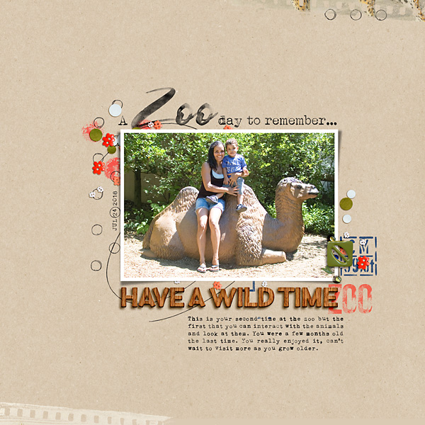A Zoo Day