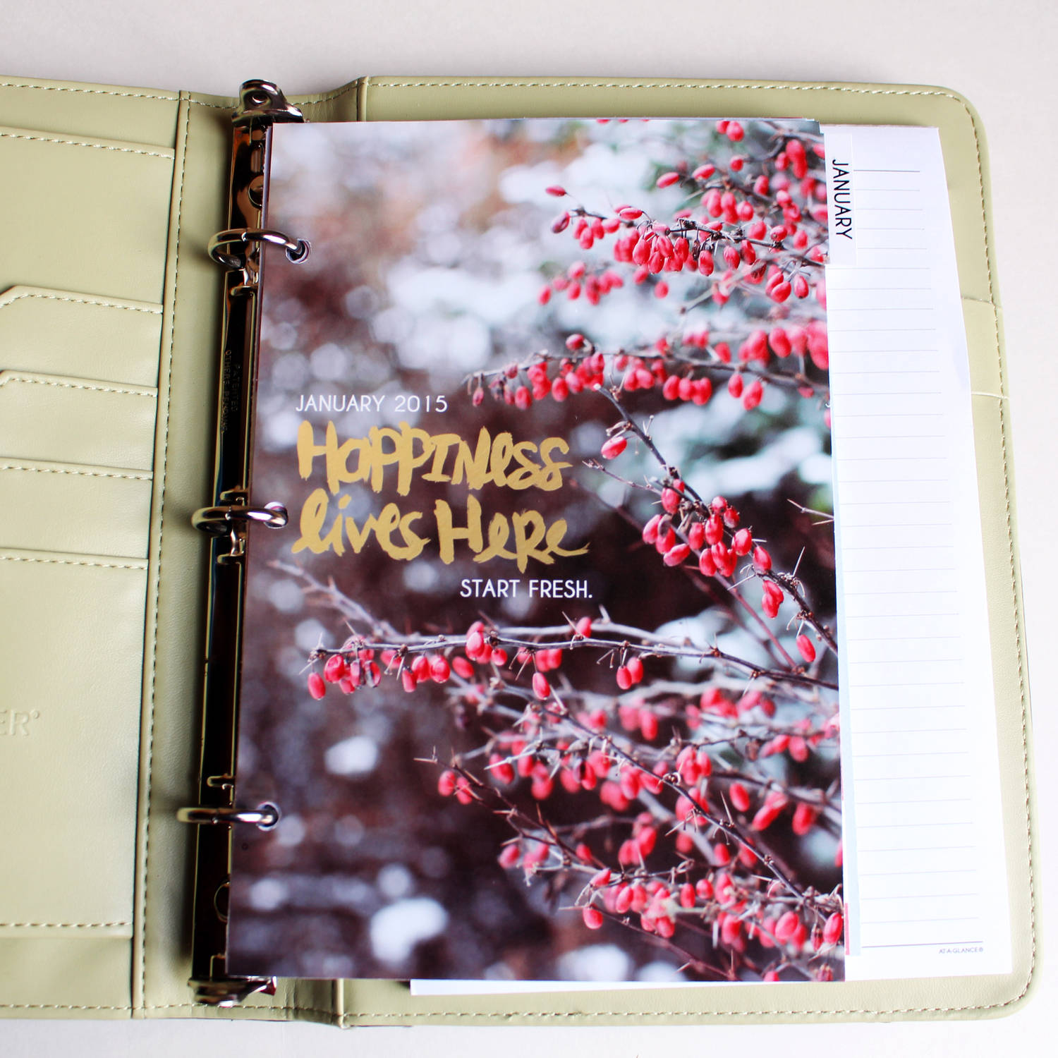A5 Planner Templates - Loving January