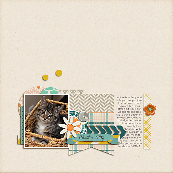 about a kitty