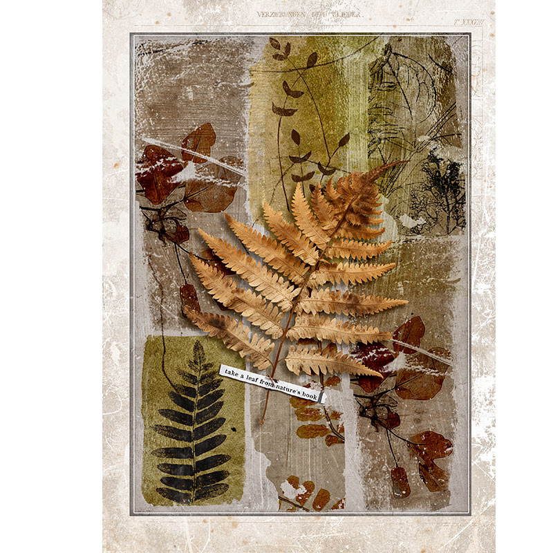 ABSTRACT LEAVES