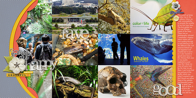 Academy of Sciences Full