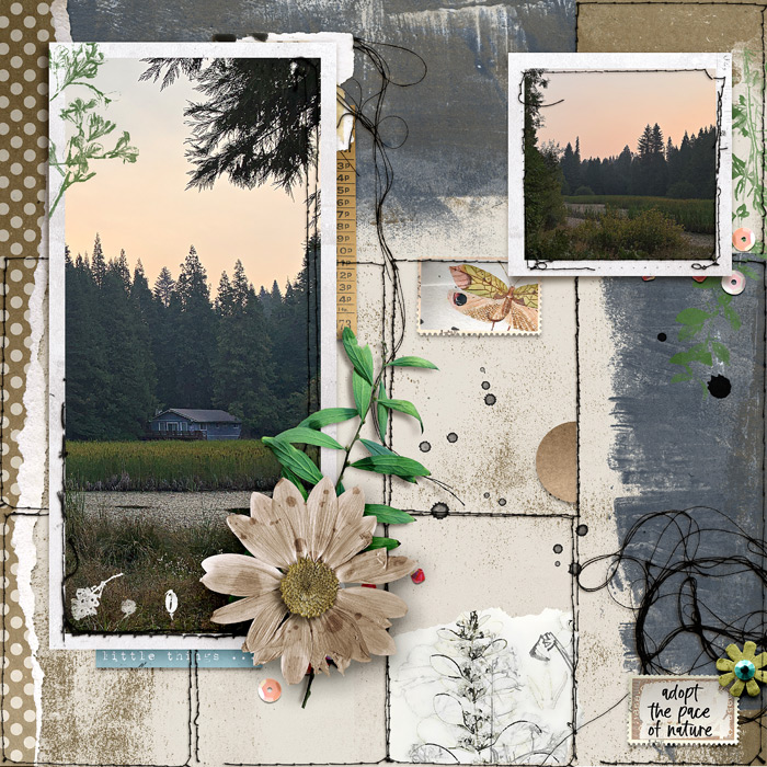 adopt the pace of nature