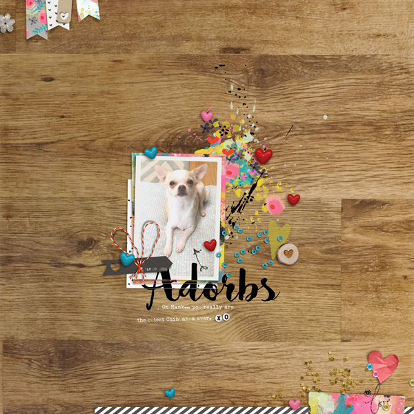 Adorbs - MOC Jan. 30