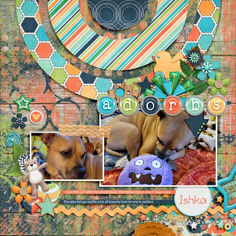Adorbs800