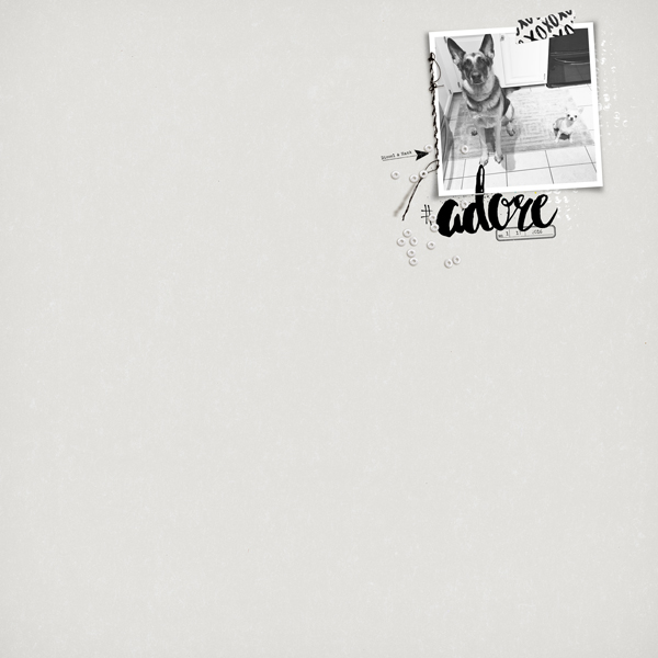 Adore - MOC Jan. 19