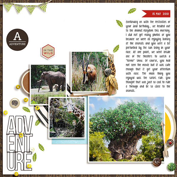 adventure 2010