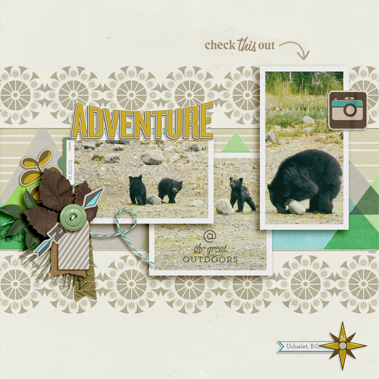 Adventure In The Great Outdoors - On Bear  & Whale Safari