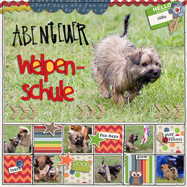 Adventure Puppy School