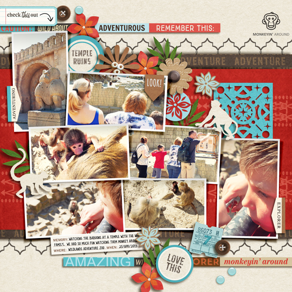 Adventure Zoo