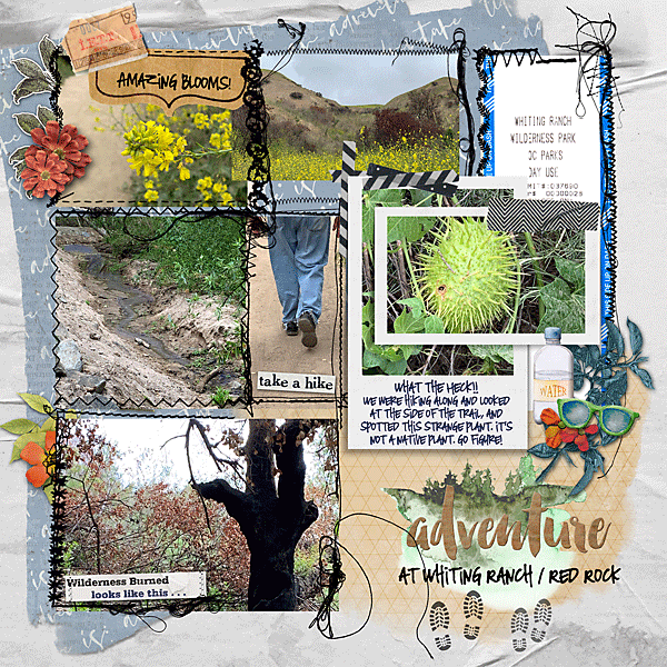 Adventure