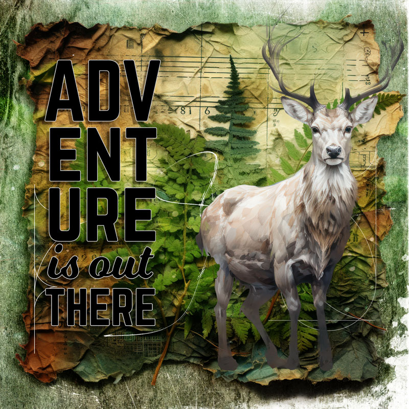 Adventure