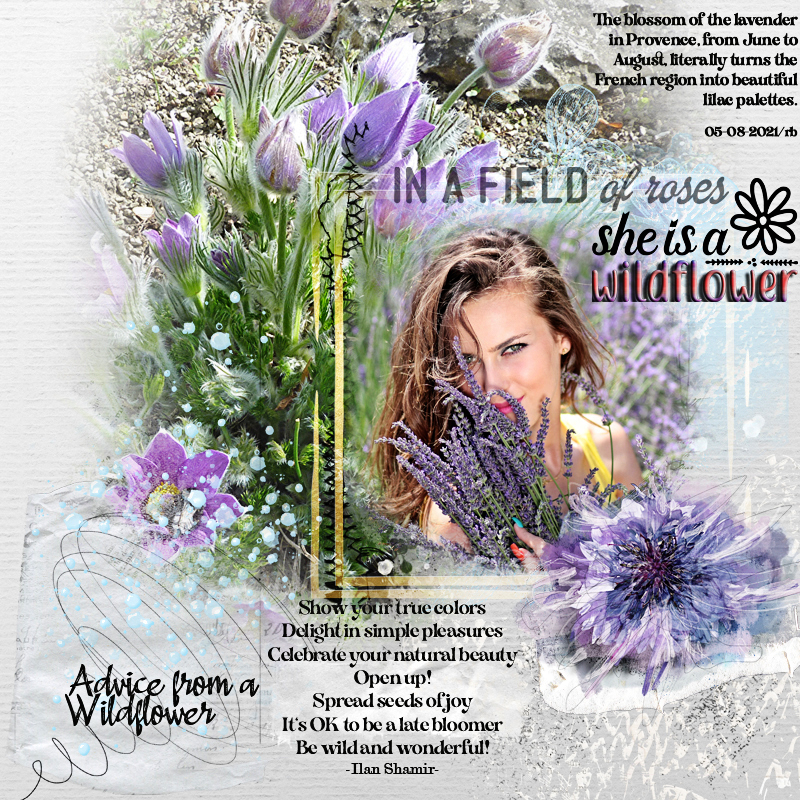 Advice-from-a-Wildflower_SlowScrap May 2021