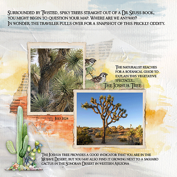 AJ July Wk 3 - The Joshua Tree