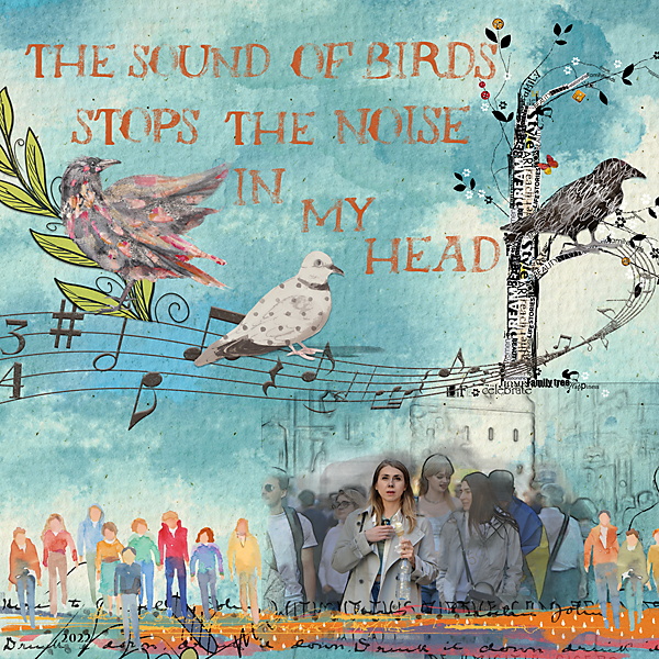 AJ-May-Wk2 The Sound of Birds