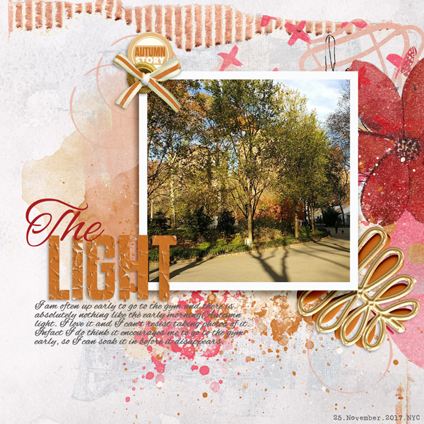 AJ Monthly Muse: October 2020 Week 1: Autumn Light