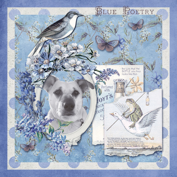AJ4_janisn