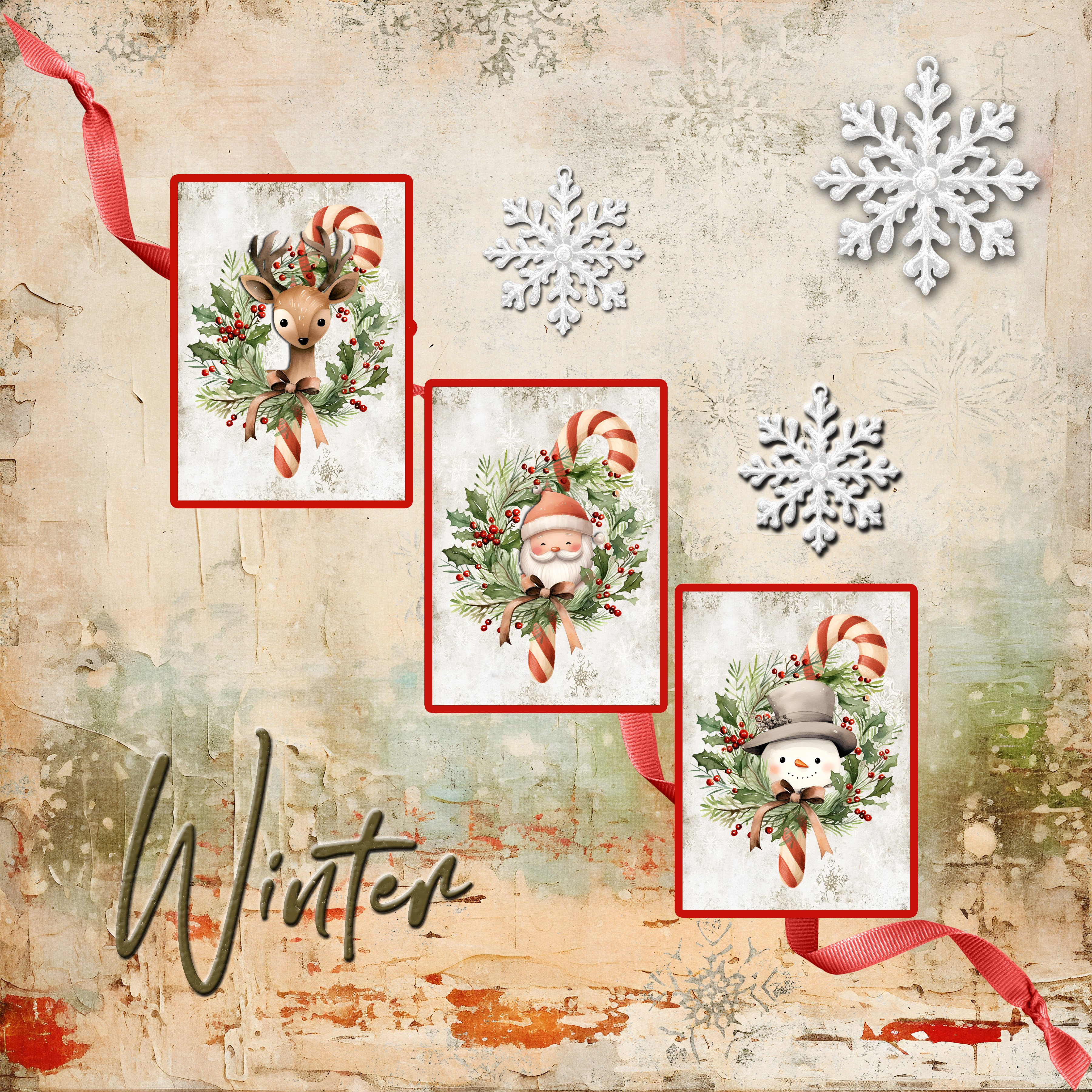 AJWK1_Winter_janisn.jpg
