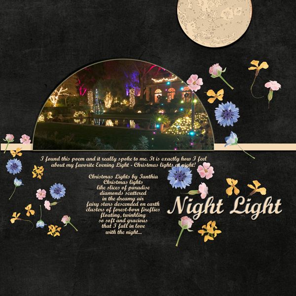 AJWk4_Night Light_janisn