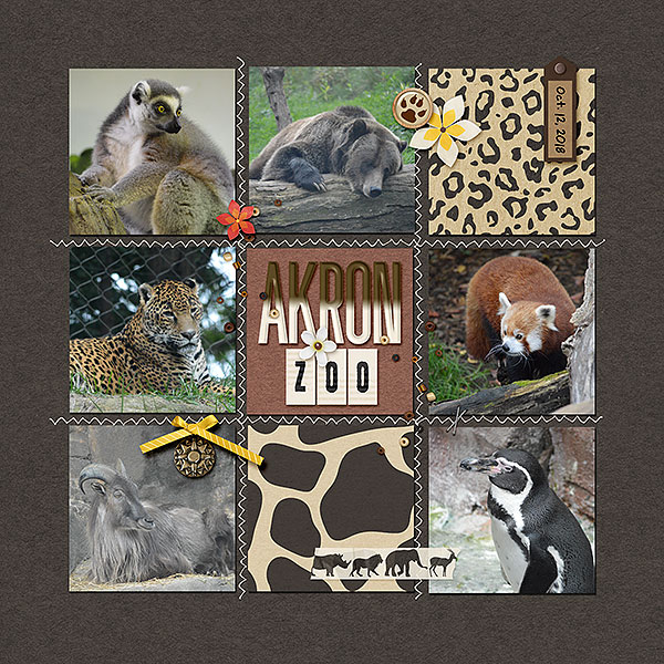 Akron Zoo (MOC Day 3)