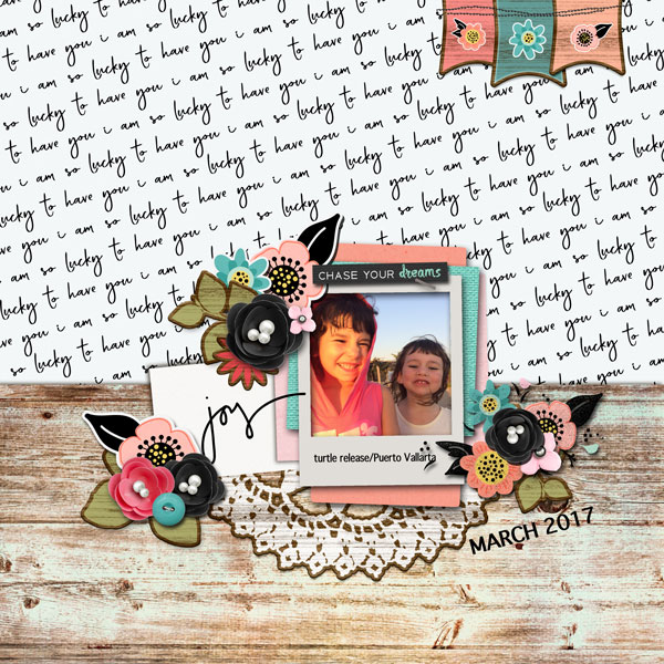 Alabau_March2018_Template challenge