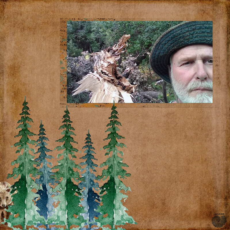 ALAN IN THE WOODS MOC [10: Clean and Simple (Style Challenge)]