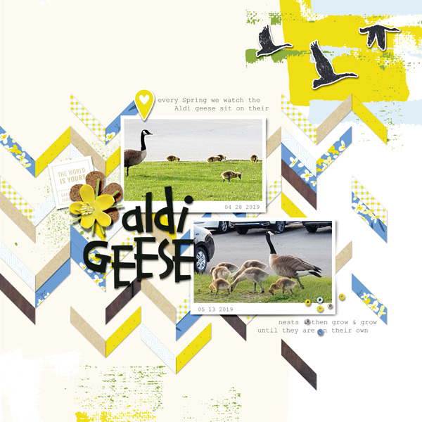 Aldi Geese