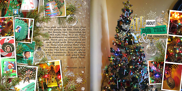 All About our Tree & the Ornaments