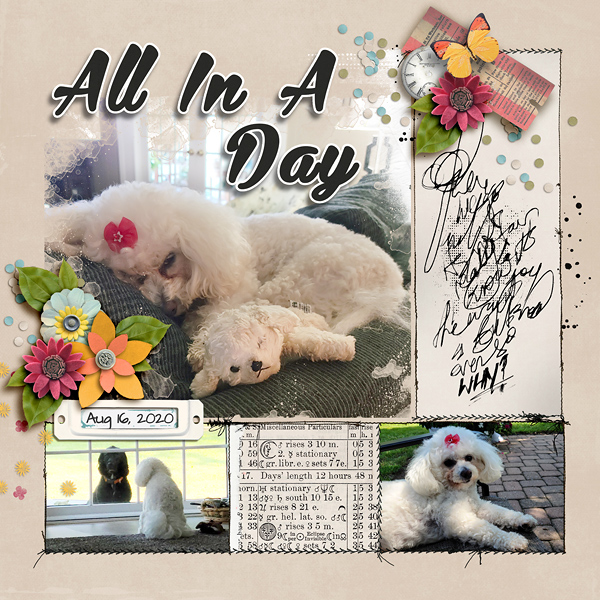 All In A Day