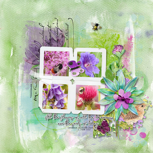 All the flowers