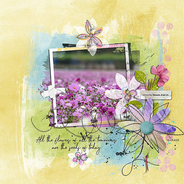 all the flowers