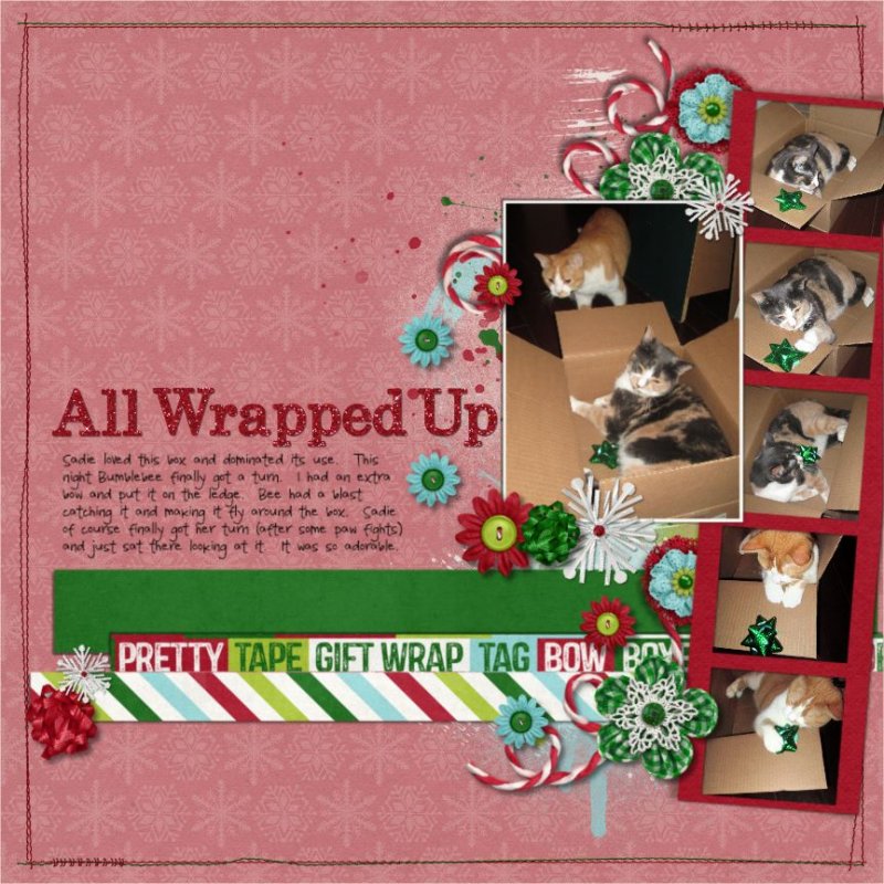 All Wrapped Up