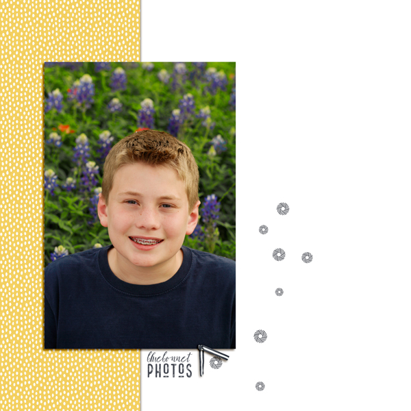 Allen_Bluebonnets
