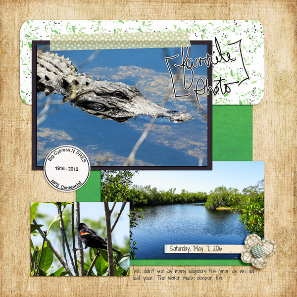 Alligators - right side