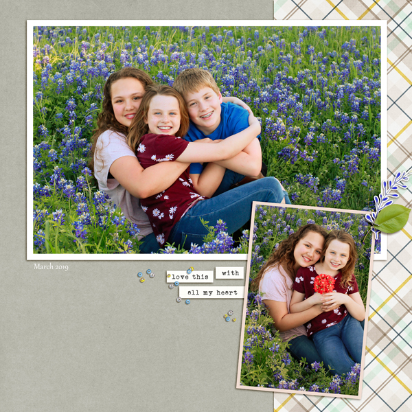 AllThreeBluebonnets