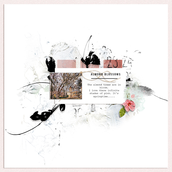 almond blossoms