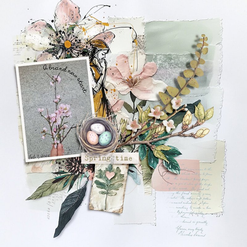 Almond tree blossoms