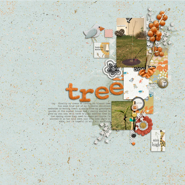 Almond Tree