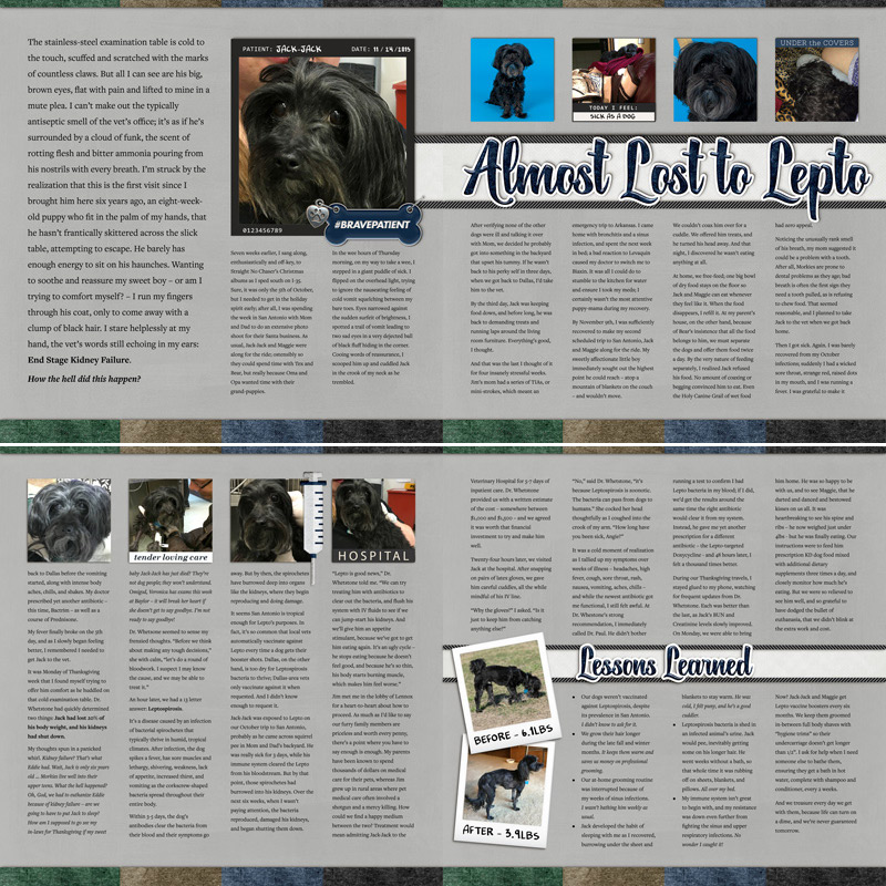 Almost Lost to Lepto (4-page spread)